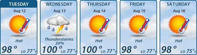 5-Day Forecast