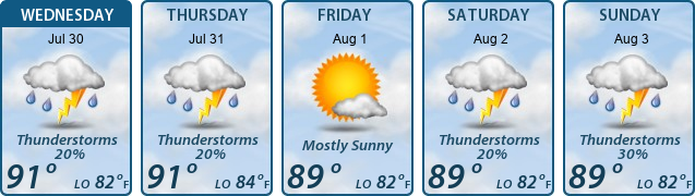 5-Day Forecast
